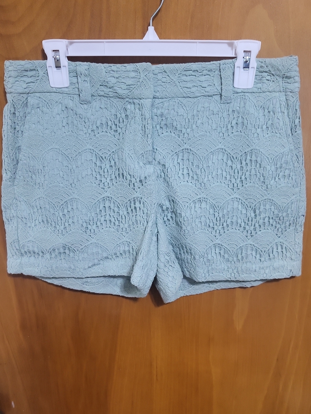 Womens LOFT SIZE 4 Lace Overlay Shorts in Mint